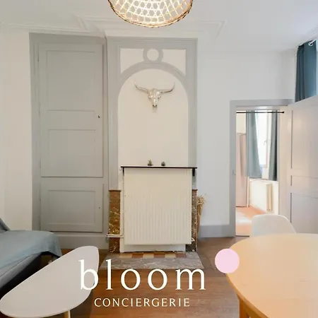 Apartament Vieille Place St Epvre Le 2 Des Dames Nancy