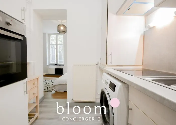 Vieille Place St Epvre Le 2 Des Dames Appartement Nancy