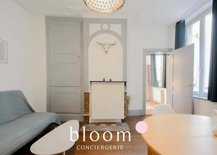 Appartement Vieille Place St Epvre Le 2 Des Dames Nancy