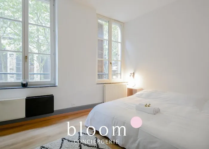 Vieille Place St Epvre Le 2 Des Dames Appartement Nancy